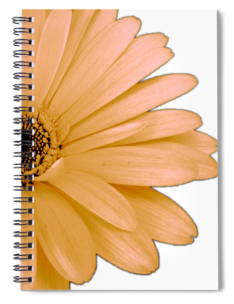 Digital Art Spiral Notebook featuring the digital art Peach Daisy Flower by Delynn Adams by Delynn Addams