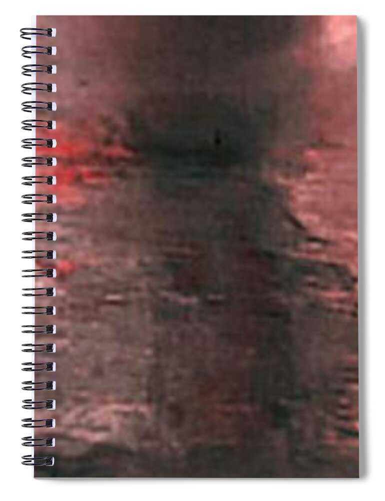 Peach Spiral Notebook featuring the photograph Peach by Robert ONeil