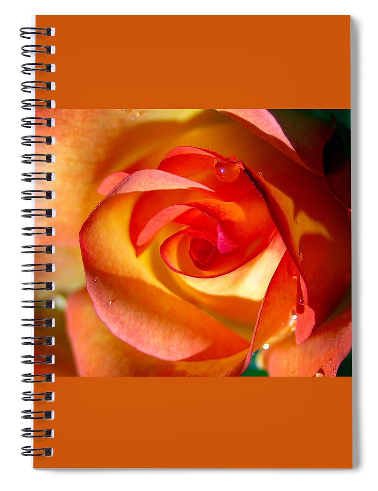 Rose Spiral Notebook featuring the photograph Peach Rose by Amy Fose