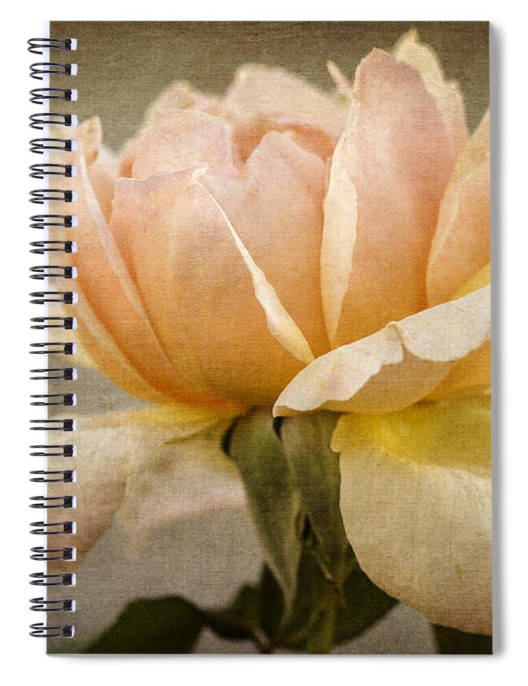 Peach Rose Spiral Notebook featuring the photograph Peach Rose by Tamara Becker