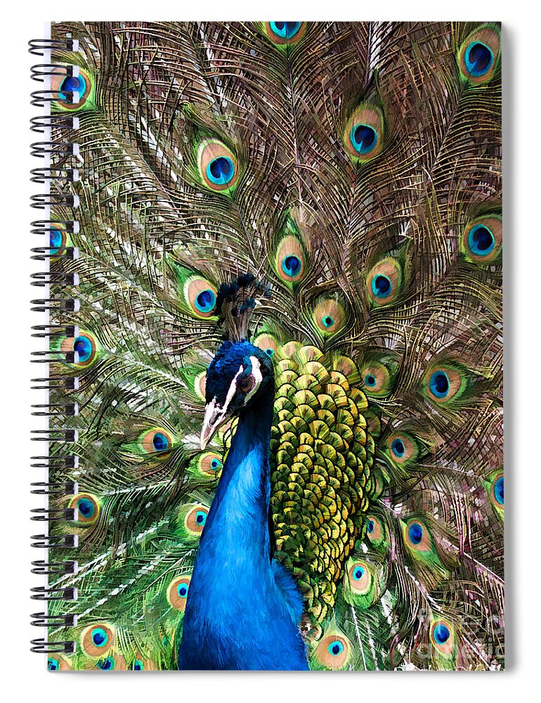 Peacock Spiral Notebook featuring the photograph Peacock Extravaganza by Barbara McMahon