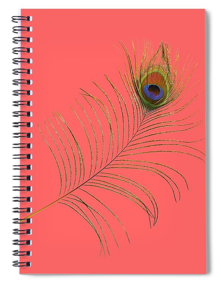 Peacock Feather Spiral Notebook featuring the photograph Peacock Feather by Bradford Martin