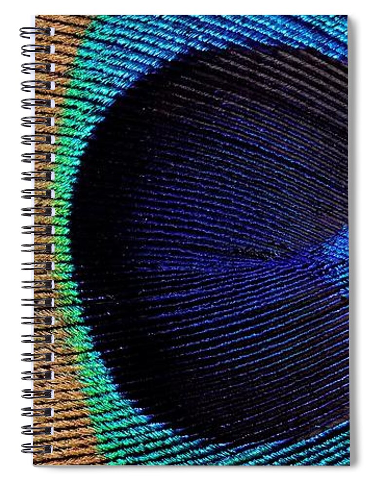 Kj Swan Feathers Spiral Notebook featuring the photograph Peacock Weave by KJ Swan