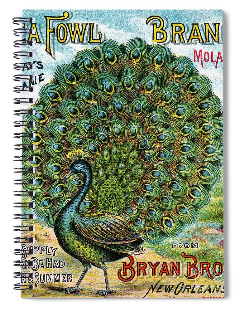 1891 Spiral Notebook featuring the drawing Peafowl Brand Molasses. by Granger