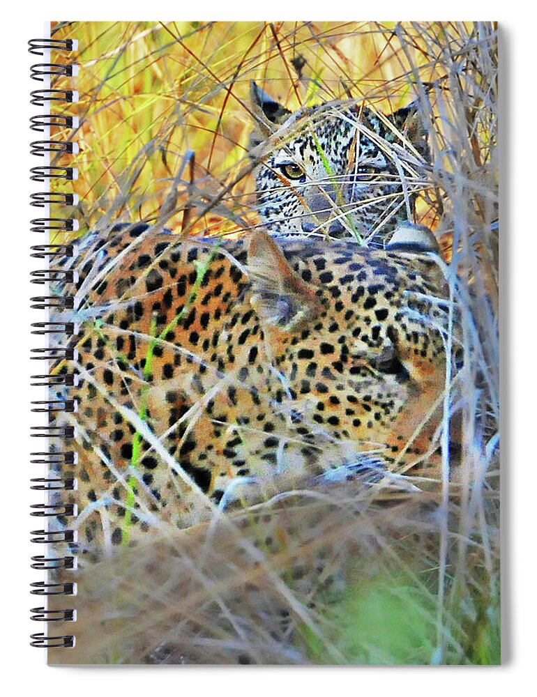 Peek Spiral Notebook featuring the photograph Peeking Leopard Cub by Ted Keller