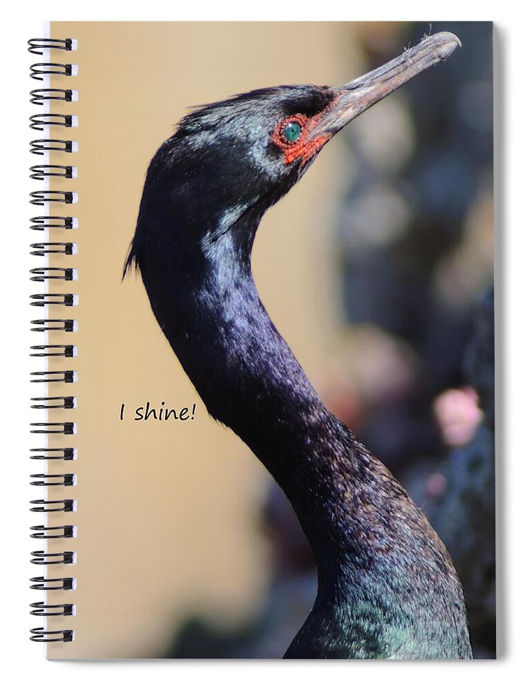  Spiral Notebook featuring the photograph Pelagic Cormorant says I Shine by Sherry Clark
