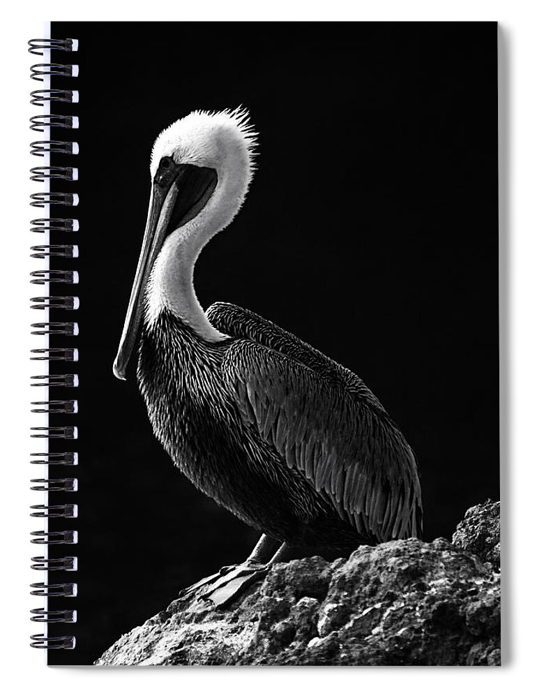 Oregon Spiral Notebook featuring the photograph Pelican Black and White by Mark Kiver