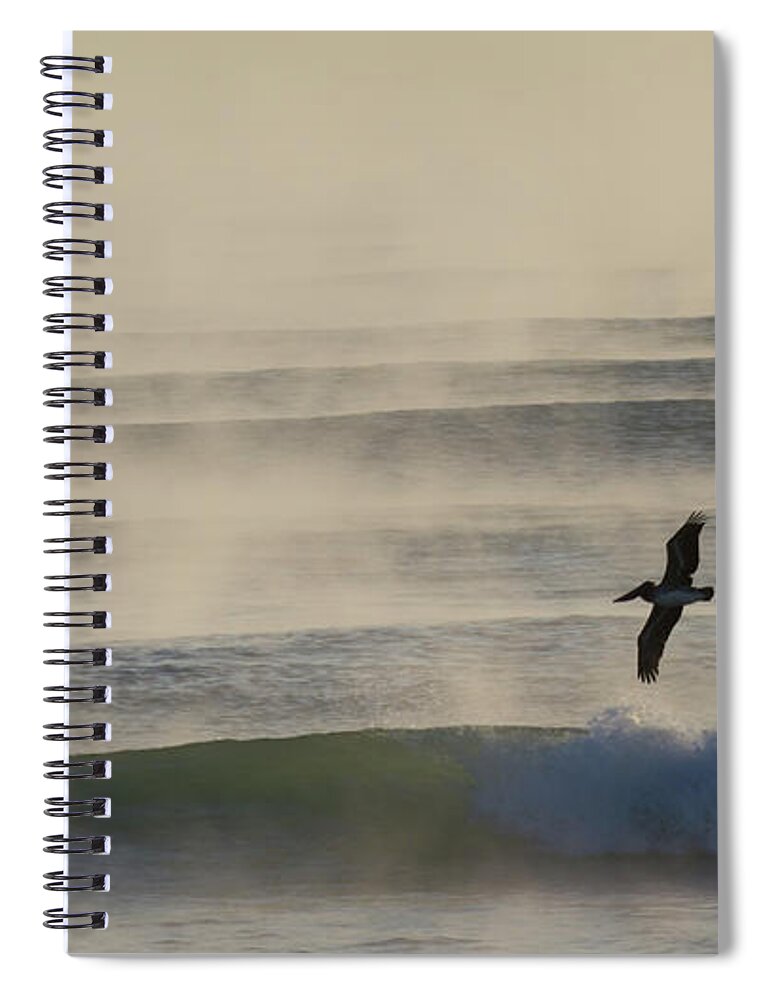 Pelican Spiral Notebook featuring the photograph Pelican in Sea Smoke by Paul Rebmann