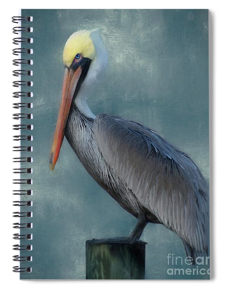 Pelican Spiral Notebook featuring the photograph Pelican Portrait by Benanne Stiens