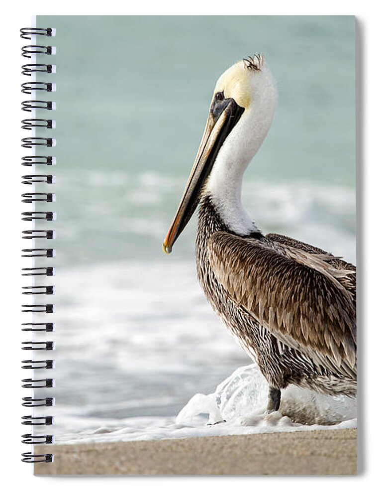 Florida Spiral Notebook featuring the photograph Pelican Waves by Karin Pinkham