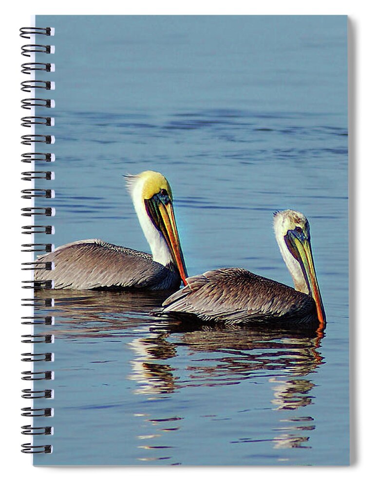 Pelican Spiral Notebook featuring the painting Pelicans 2 Together by Michael Thomas