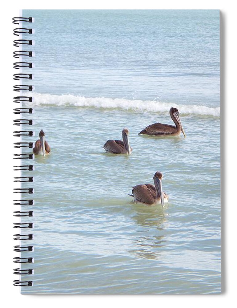 Pelican Spiral Notebook featuring the photograph Pelicans by Elizabeth Klecker