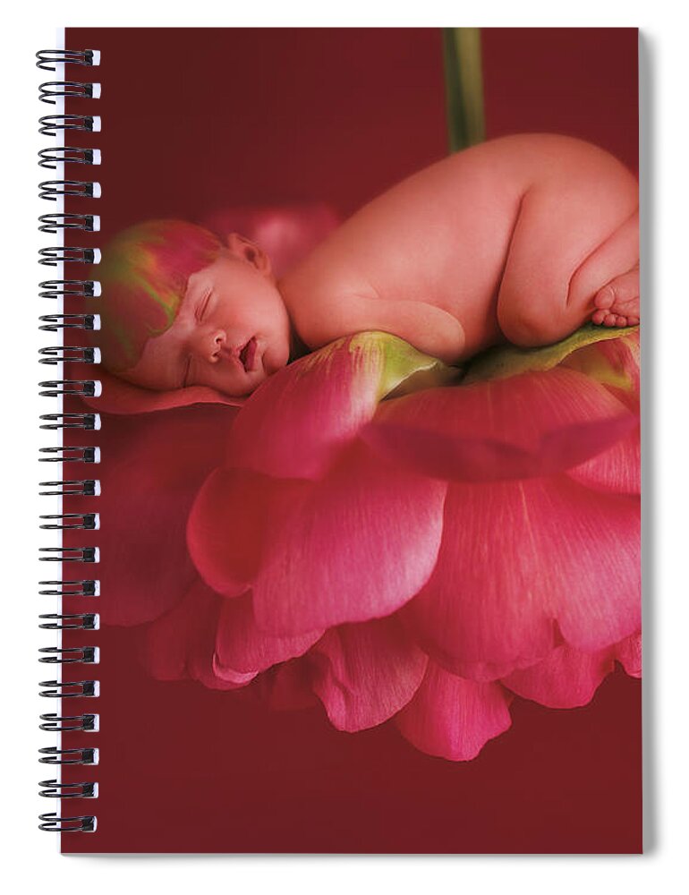 Pink Spiral Notebook featuring the photograph Chelsea on a Pink Peony Rose by Anne Geddes
