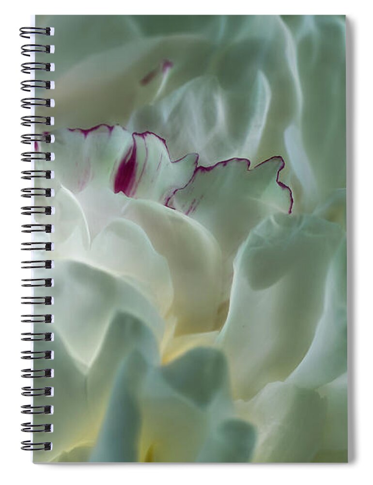Peony Spiral Notebook featuring the photograph Peony Flower Energy by Beth Sawickie