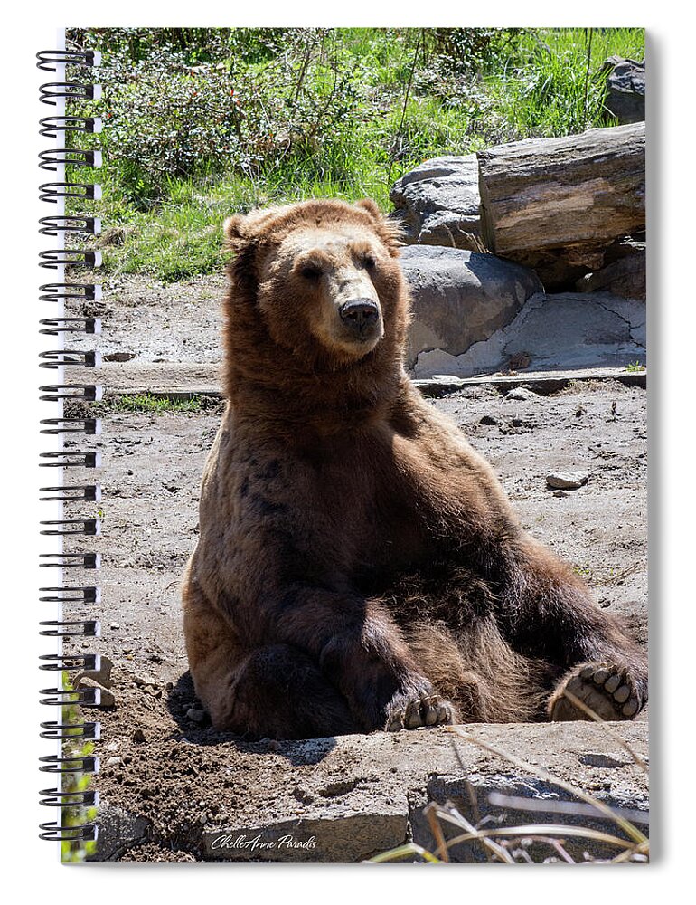 Brown Bear Spiral Notebook featuring the photograph People Watching by ChelleAnne Paradis