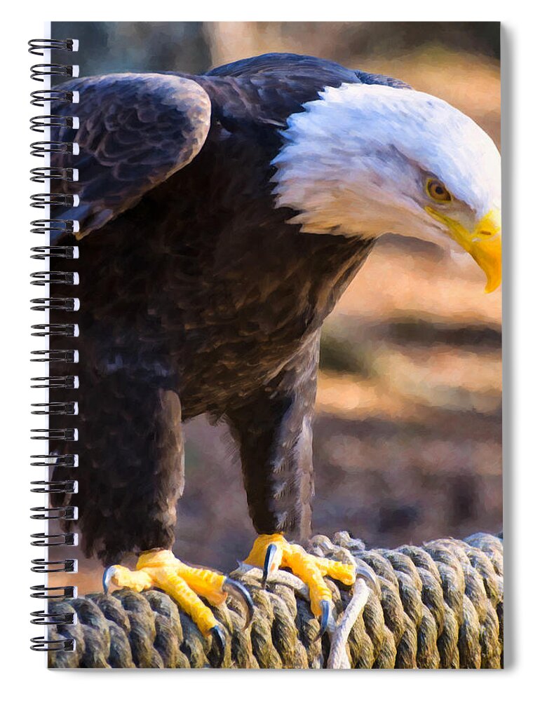 Bald Eagle Spiral Notebook featuring the digital art Perched Bald Eagle by Flees Photos