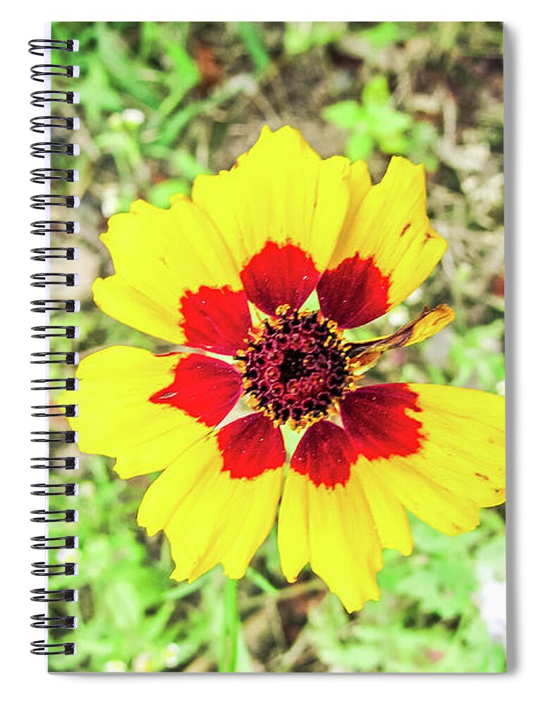Flower Spiral Notebook featuring the photograph Perfect Imperfection by Cesar Vieira