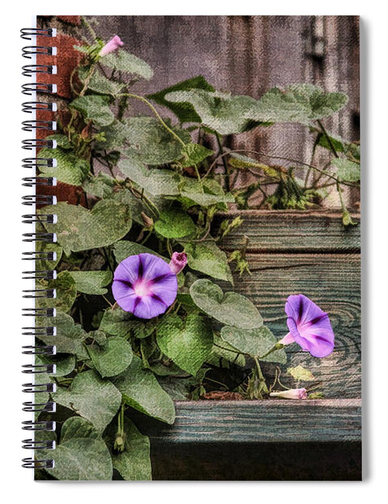 Morning Glory Spiral Notebook featuring the photograph Perseverance by HH Photography of Florida