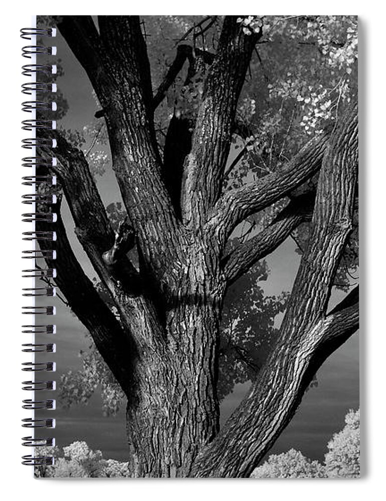 Ir Spiral Notebook featuring the photograph Personality by Brian Duram