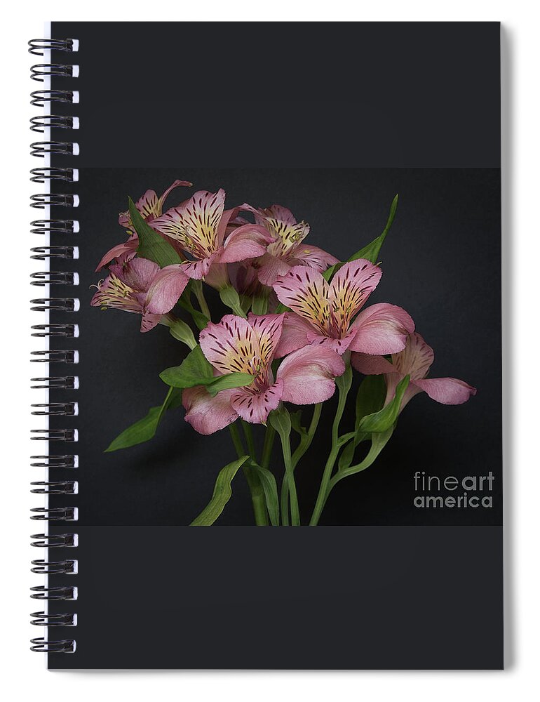Flowers Spiral Notebook featuring the photograph Peruvian Lily by Ann Horn