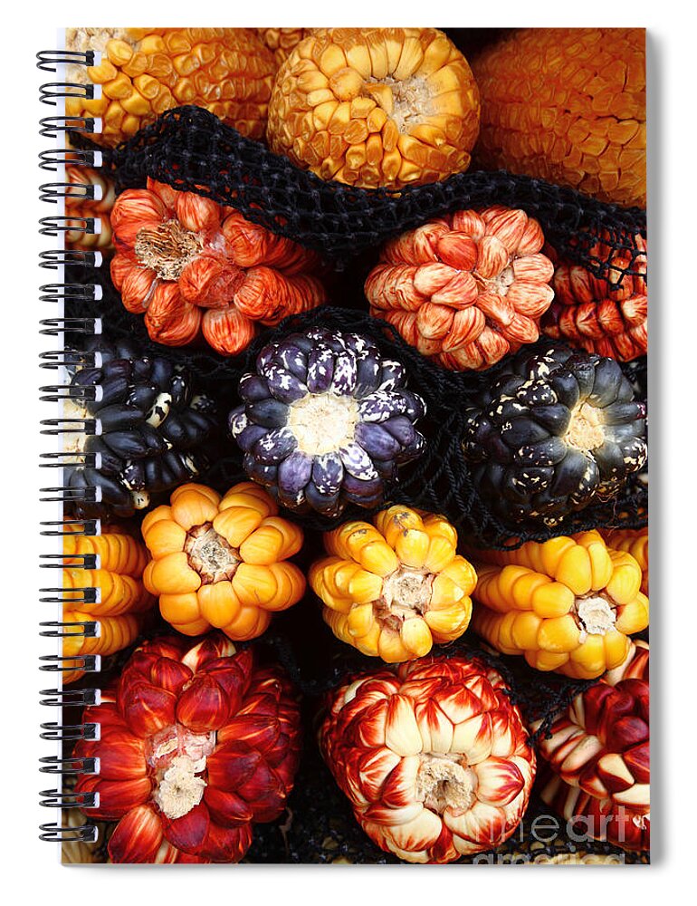 Corn Spiral Notebook featuring the photograph Peruvian Maize Varieties by James Brunker