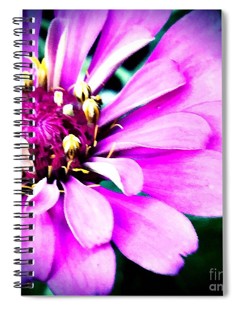 Zinnia Spiral Notebook featuring the photograph Petal power by Vonda Lawson-Rosa