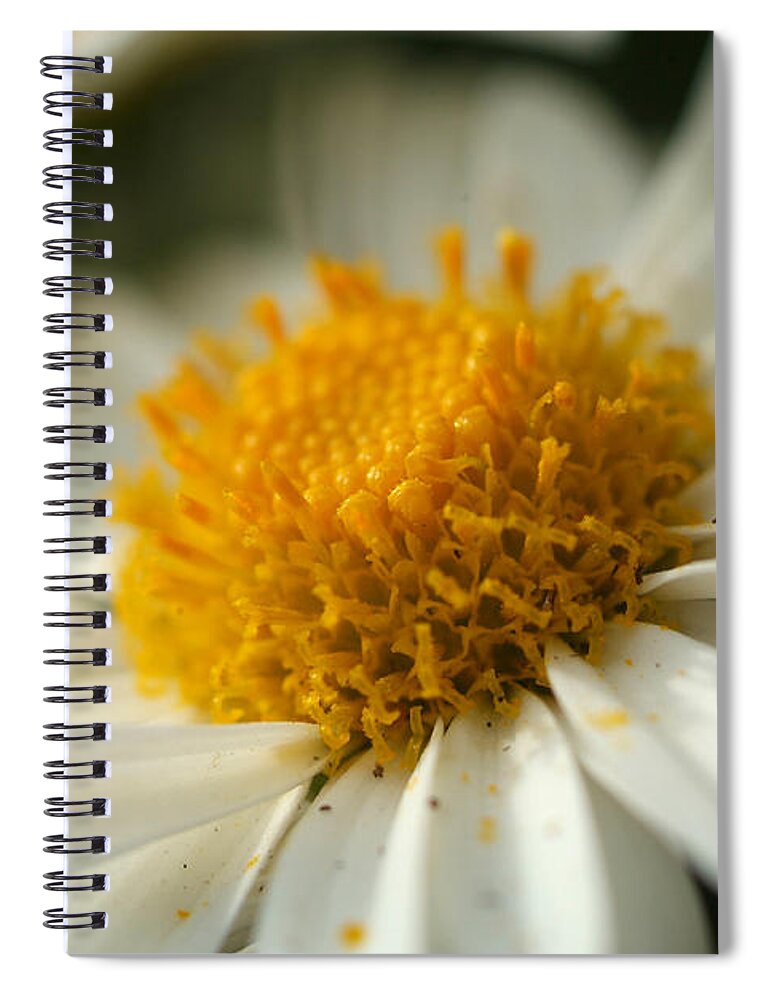 Flower Spiral Notebook featuring the photograph Petals and Pollen by Michael McGowan