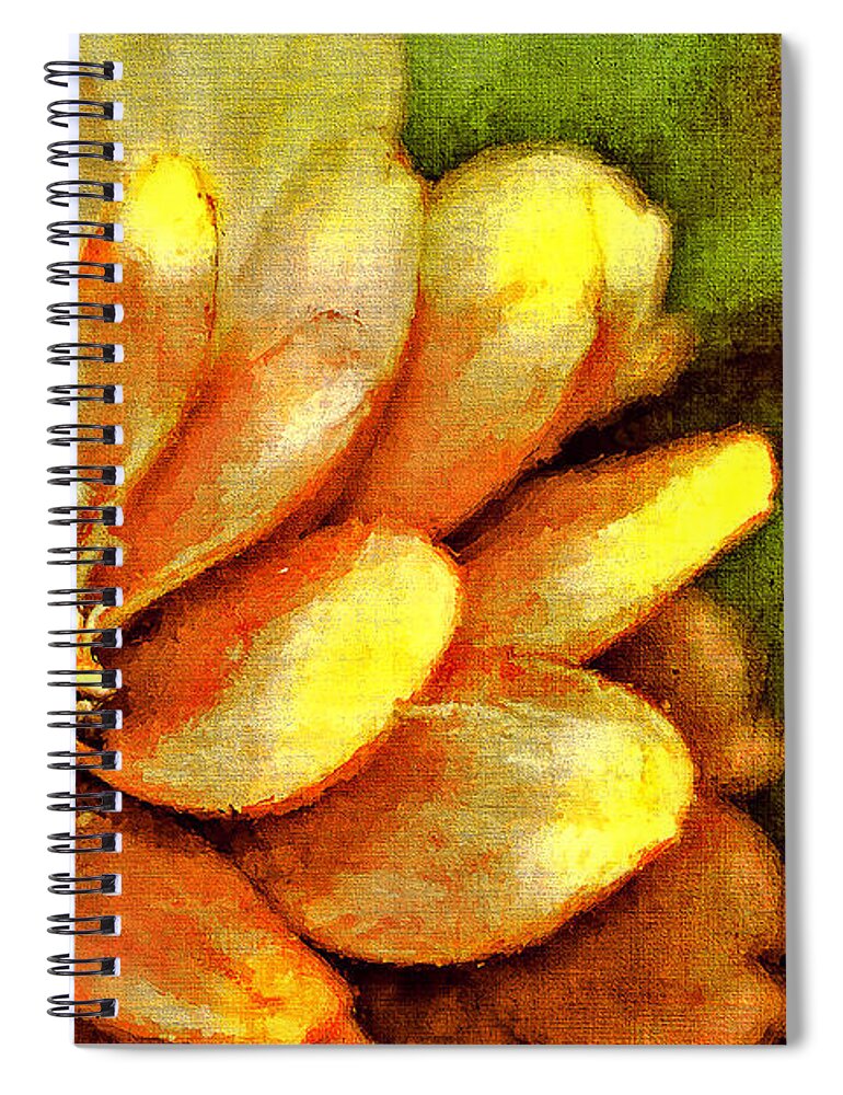 Flower Spiral Notebook featuring the photograph Petals by Reynaldo Williams