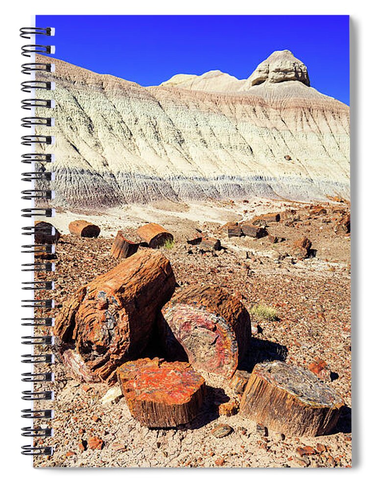 Arizona Spiral Notebook featuring the photograph Petrified Forest II by Raul Rodriguez