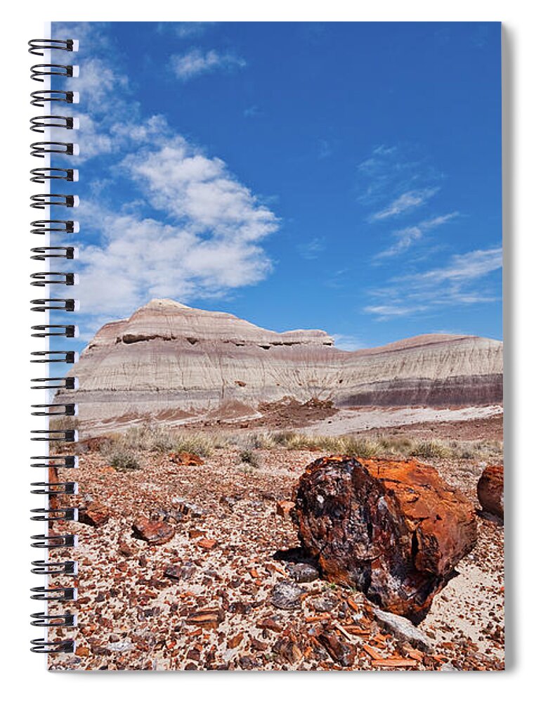 Arid Climate Spiral Notebook featuring the photograph Petrified Logs at Crystal Forest by Jeff Goulden
