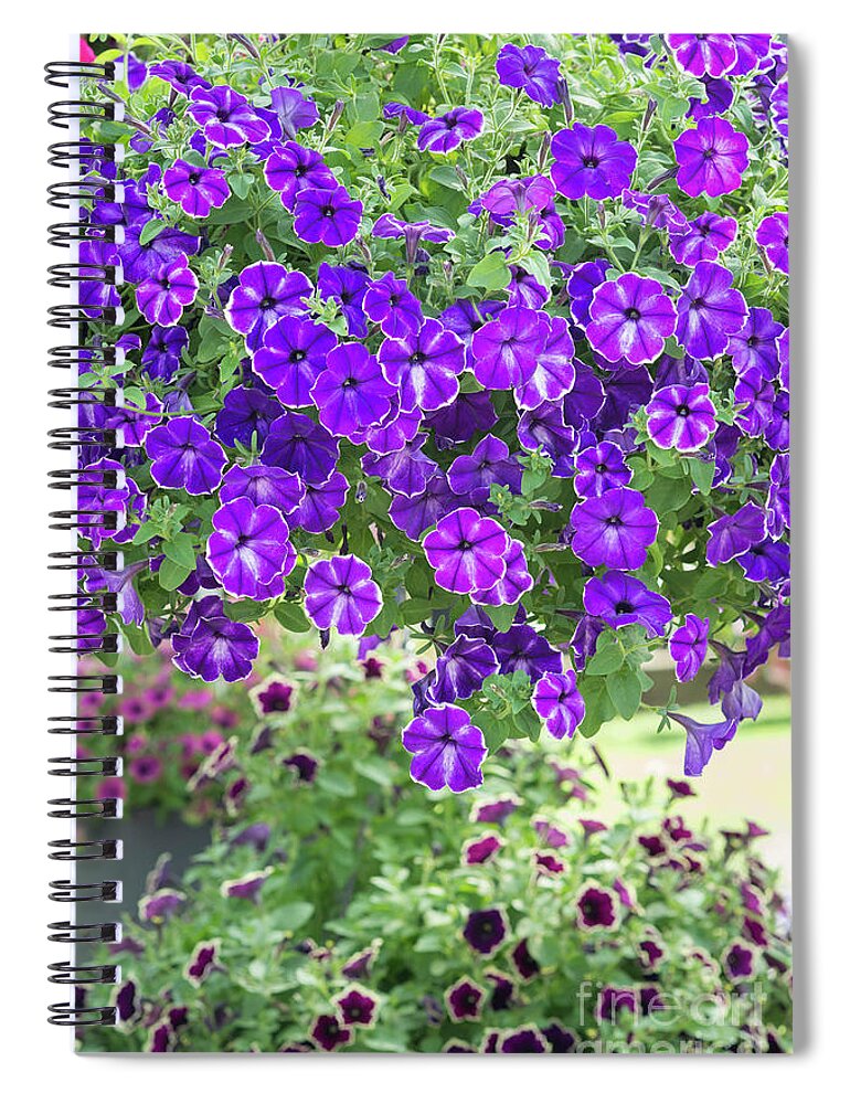 Petunia Designer Inksplash Flowers Spiral Notebook For Sale By Tim Gainey