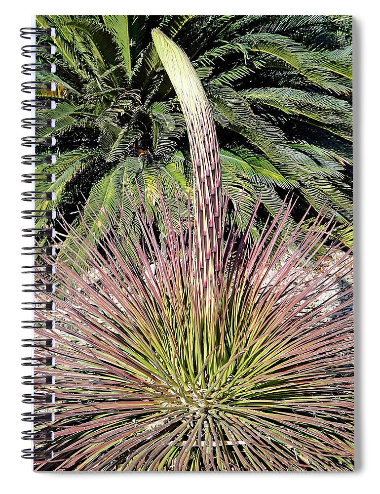 Phoenix Spiral Notebook featuring the photograph Phoenix Spire by Robert Meyers-Lussier