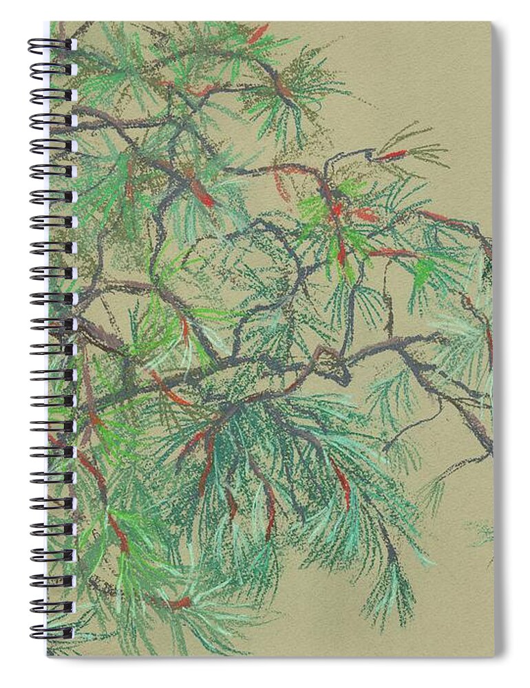 Pine Spiral Notebook featuring the drawing Pine-tree by Julia Khoroshikh
