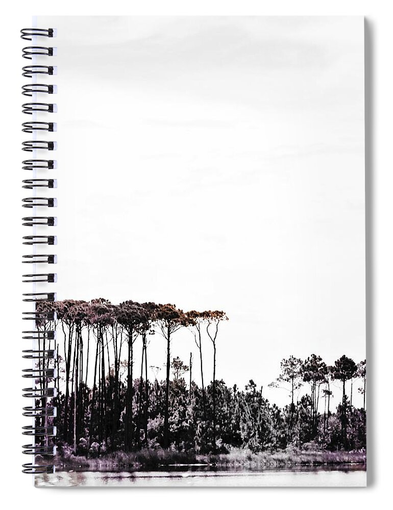 Pine Trees Spiral Notebook featuring the photograph Pine Trees and Dunes BW by Mary Pille