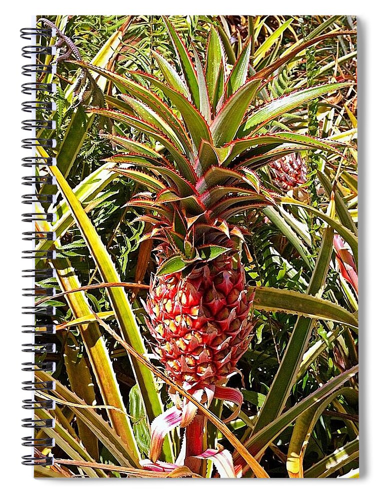Pineapple Spiral Notebook featuring the photograph Pineapple by Gini Moore