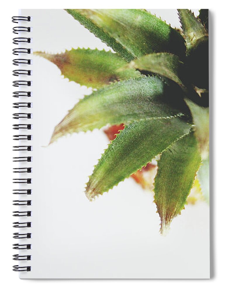 Pineapple Spiral Notebook featuring the mixed media Pineapple Top 2- Art by Linda Woods by Linda Woods