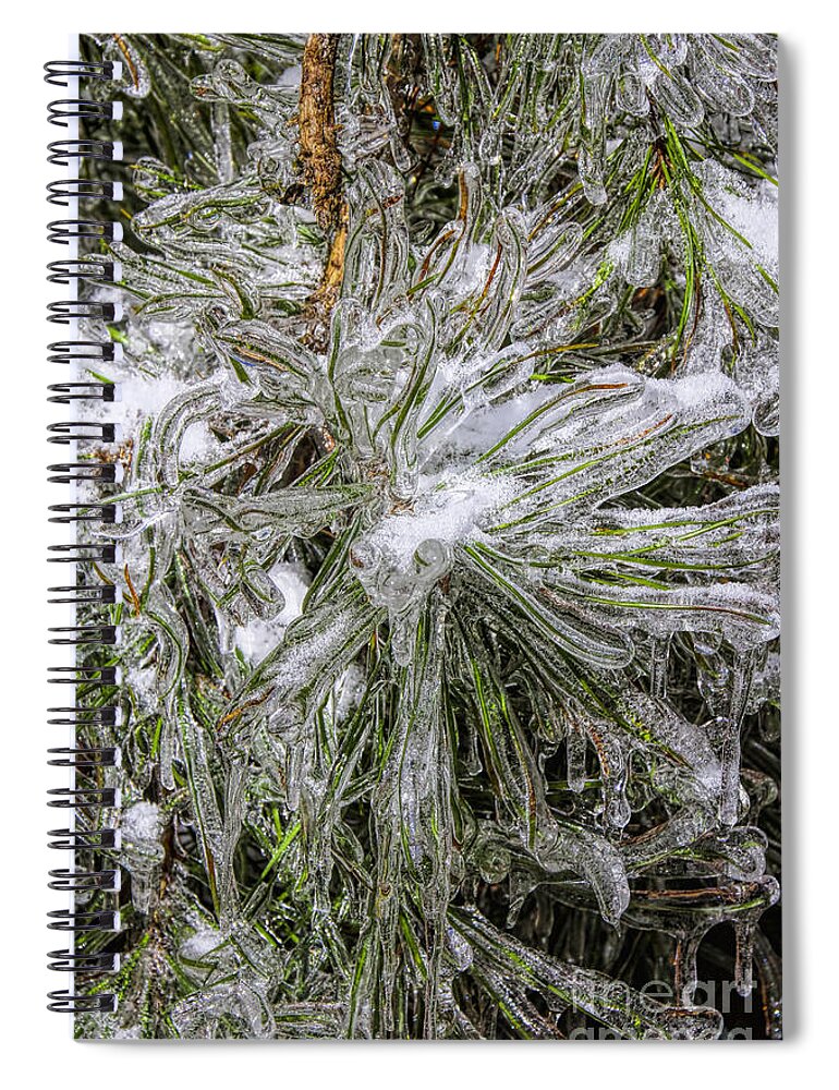 Winter Amicola Falls Spiral Notebook featuring the photograph Pinecicles by Barbara Bowen