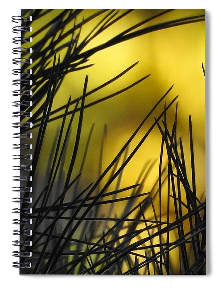 Pine Spiral Notebook featuring the photograph Pineview by Betty-Anne McDonald