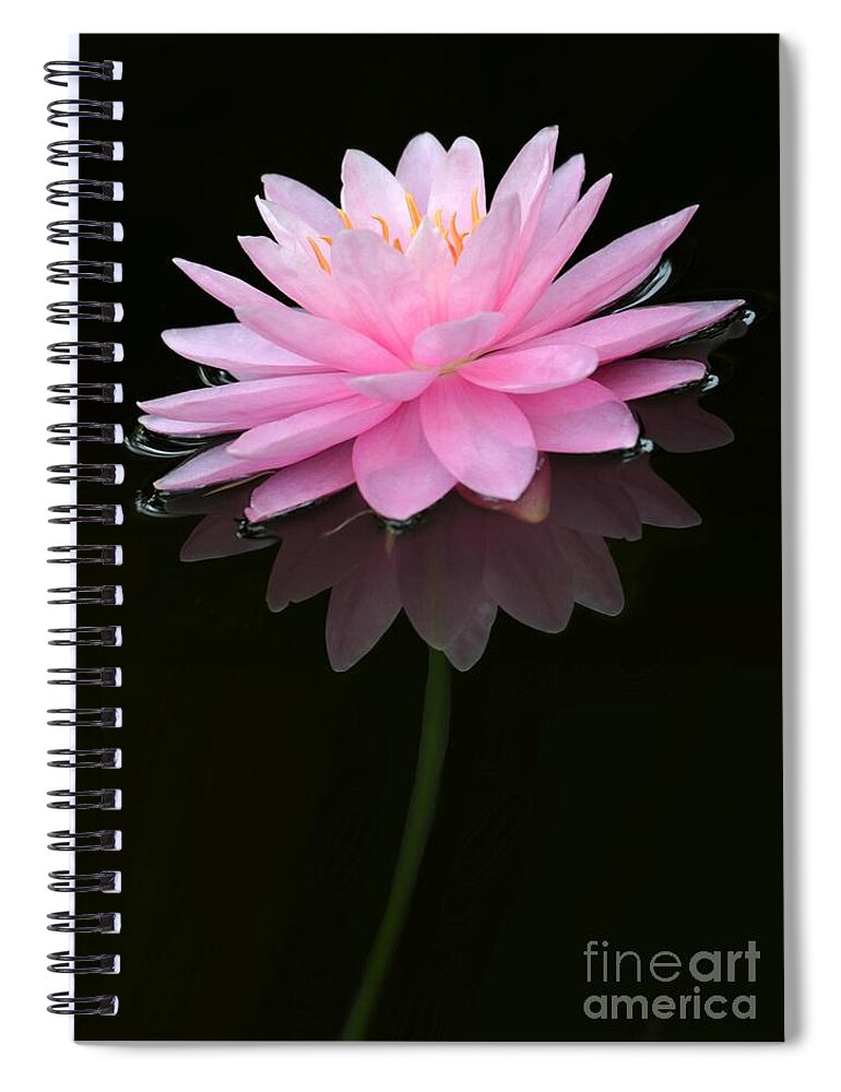 Pink Spiral Notebook featuring the photograph Pink and Alone by Sabrina L Ryan