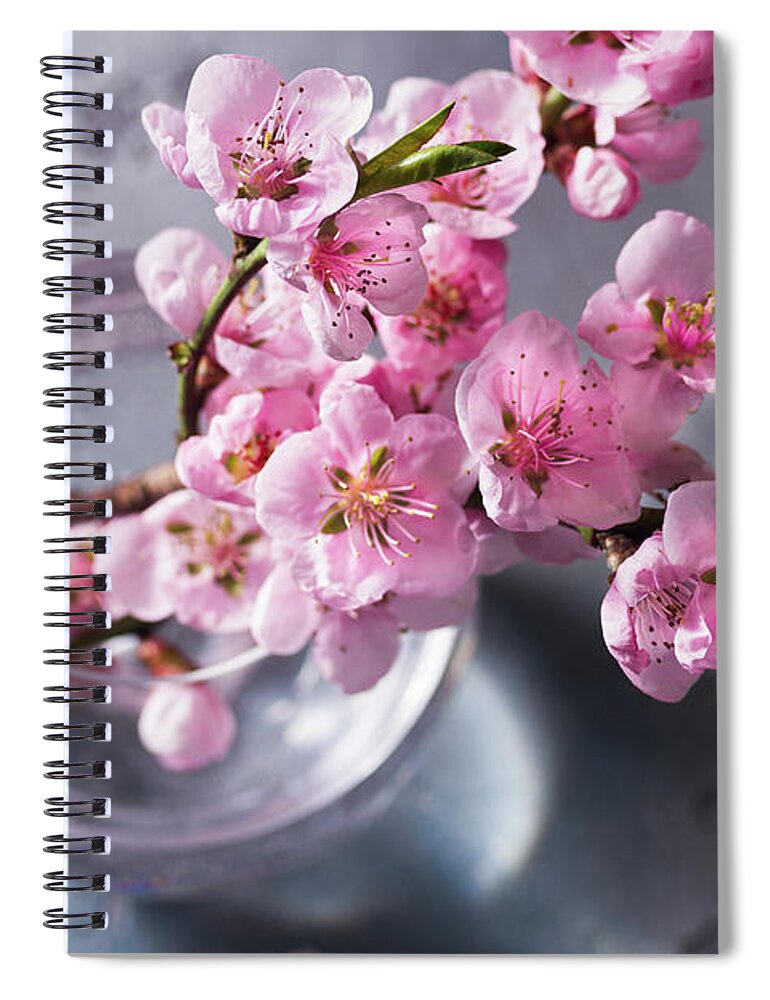 Cherry Spiral Notebook featuring the photograph Pink Cherry Blossom by Anastasy Yarmolovich