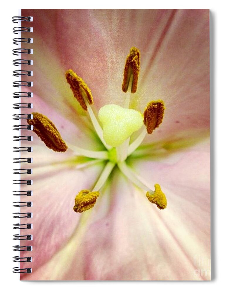 Lily Spiral Notebook featuring the photograph Pink by Denise Railey