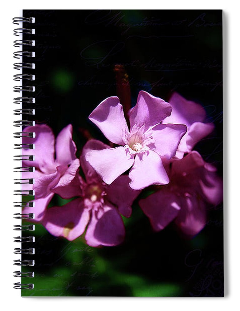 Floral Beauties Spiral Notebook featuring the photograph Pink Floral Artistry by Milena Ilieva