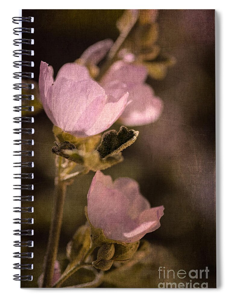 Globemallow Spiral Notebook featuring the photograph Pink Globemallow Wildflowers by Tamara Becker