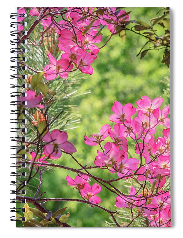 Dogwood Spiral Notebook featuring the photograph Pink Glow by Steph Gabler