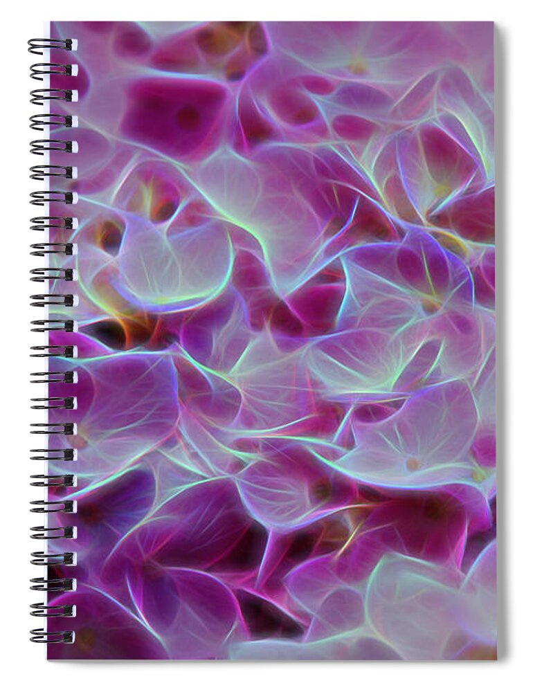 Nature Spiral Notebook featuring the photograph Pink Hydrangea Glow by Sharon McConnell