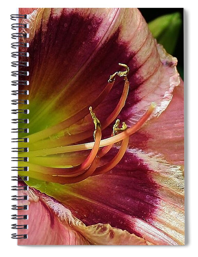 Flora Spiral Notebook featuring the photograph Pink Jewel by Bruce Bley