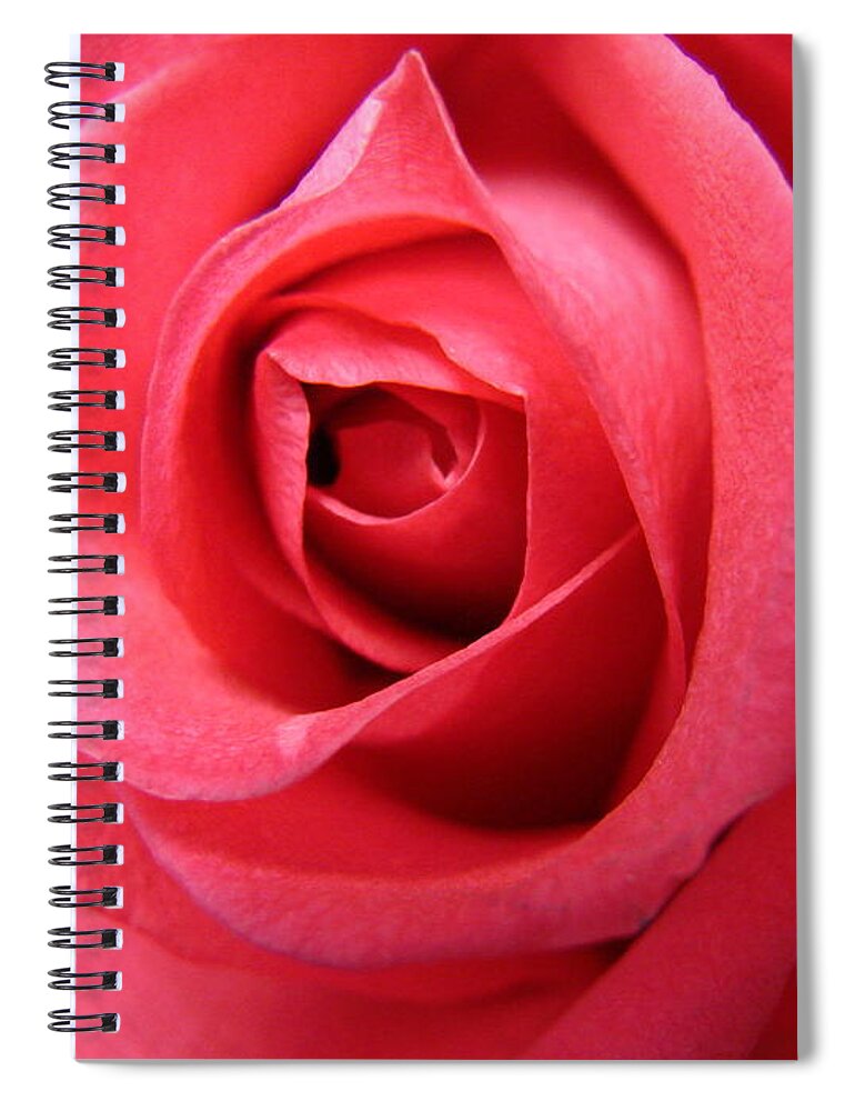 Roses Spiral Notebook featuring the photograph Pink Lady by Mary Halpin