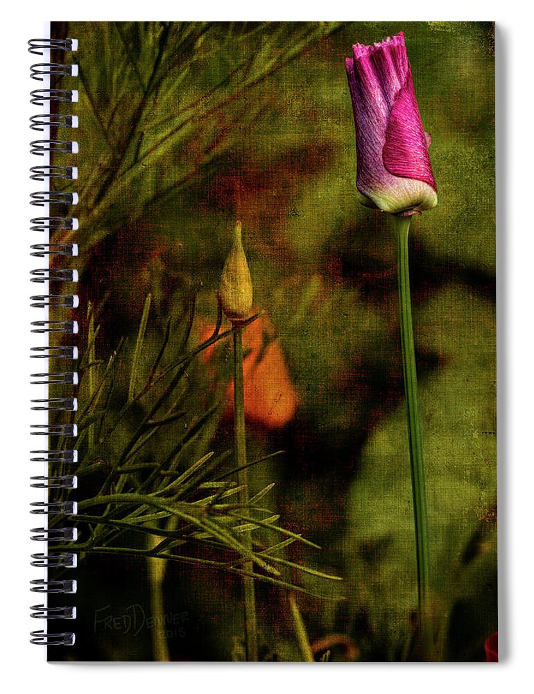 Wildflower Spiral Notebook featuring the photograph Pink Poppy by Fred Denner