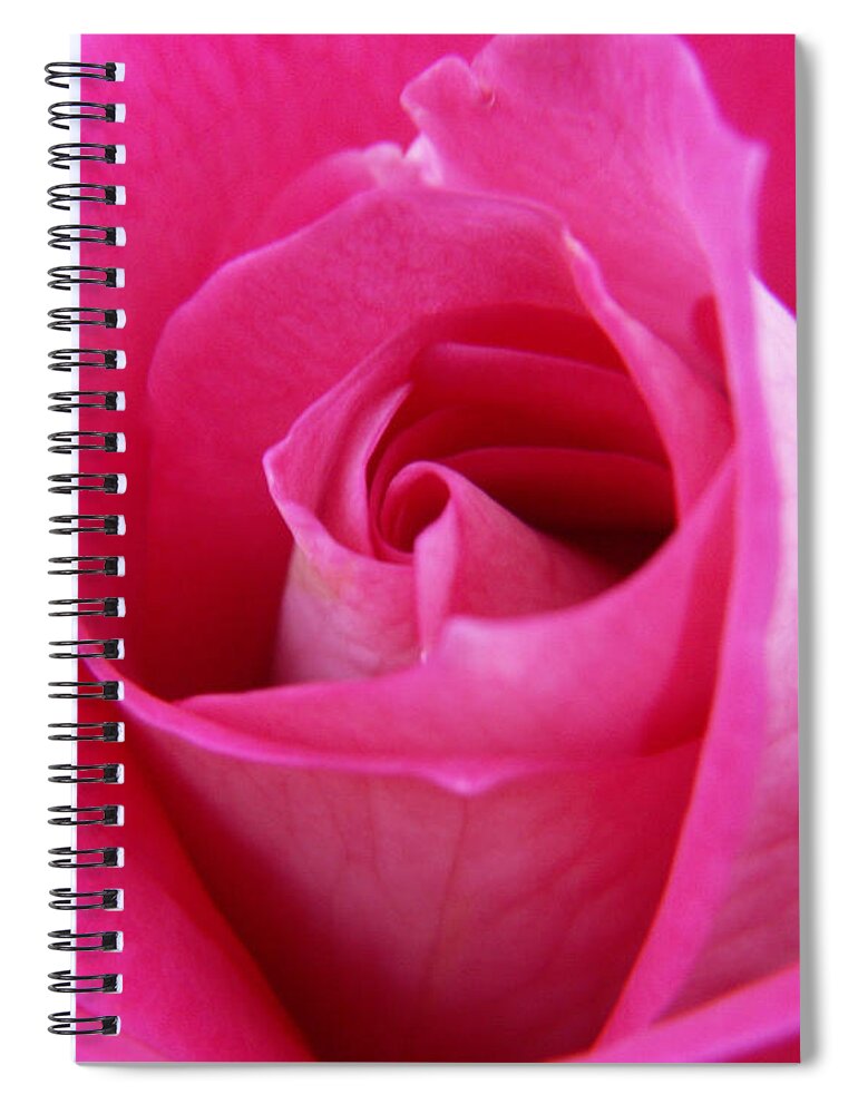 Rose Spiral Notebook featuring the photograph Pink Rose by Amy Fose