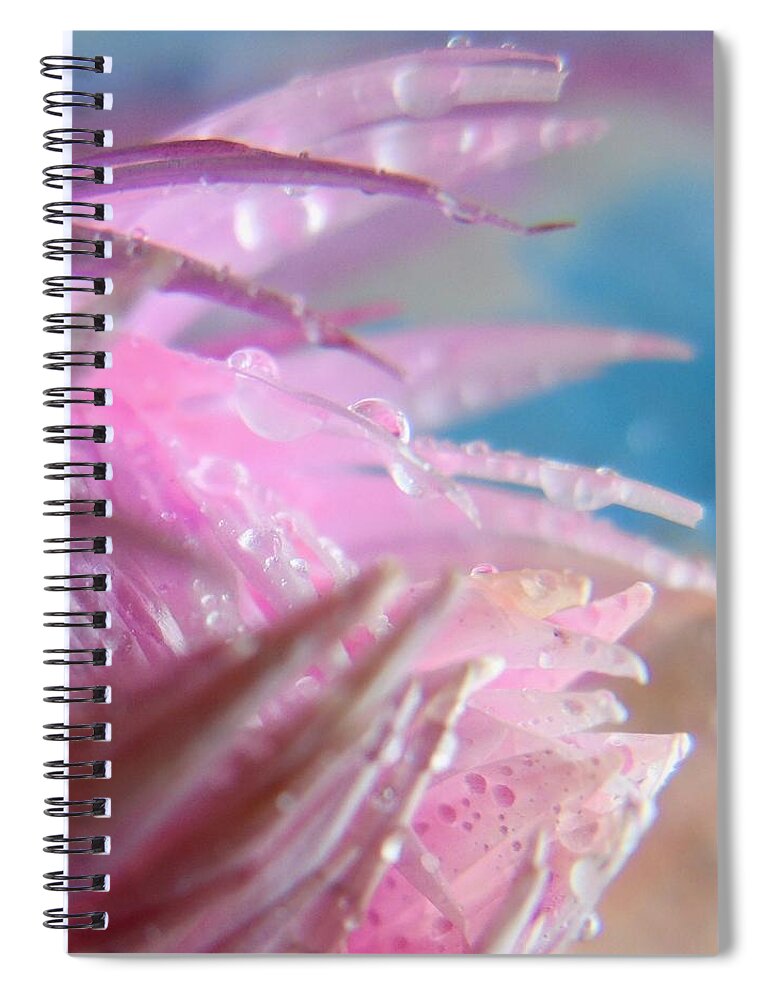 Cropped Spiral Notebook featuring the photograph Pink Splashes Macro by Barbara St Jean